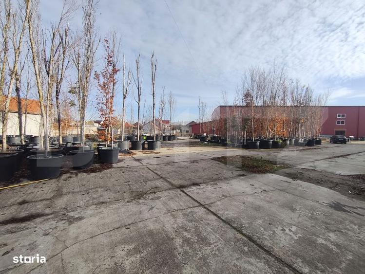 Teren intravilan in Oncea - 6