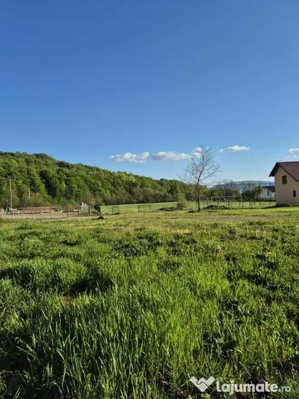 Fauresti, casa, 31 ari teren - 2