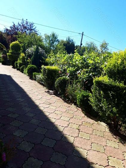 Casa de vanzare in ciuperceni Stramba Vulcan Gorj - 5