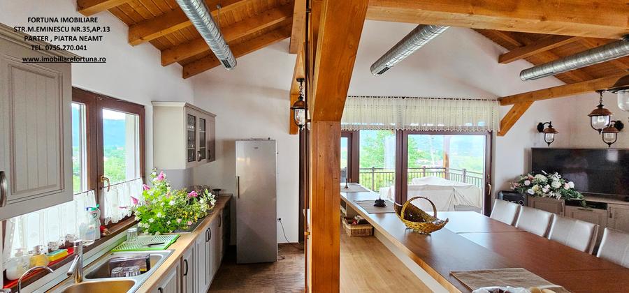 Complex turistic cu spatiu cazare,agrement,teren,livada,com.Alexandru cel Bun - 6