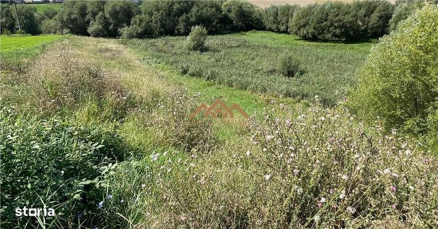 De Vanzare | Teren | Com. Moara - 3