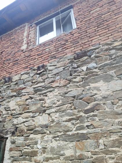 casa de vanzare comuna Brusturi judet Arad - 5