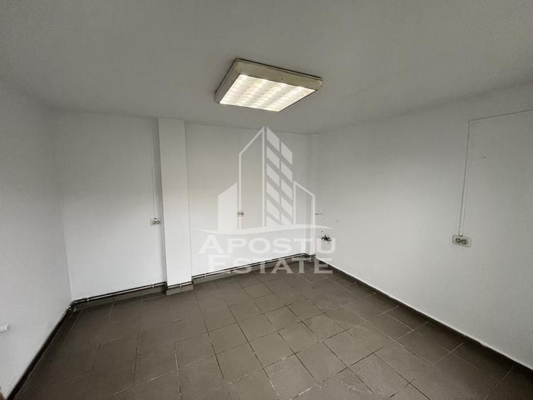 Imobil de vanzare P+M, 173 mp utili,  Elisabetin. - 6