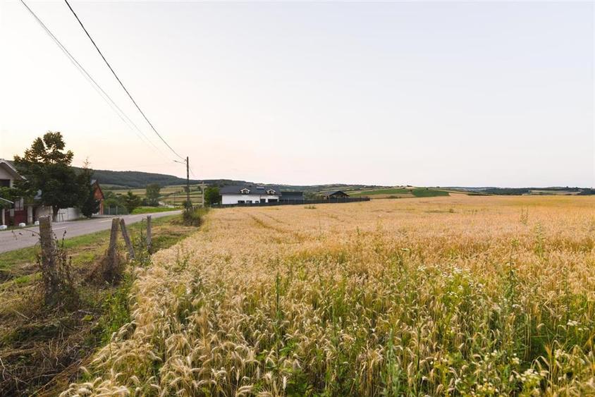 RECO Teren intravilan pentru casa 1000 mp Lazareni - 12