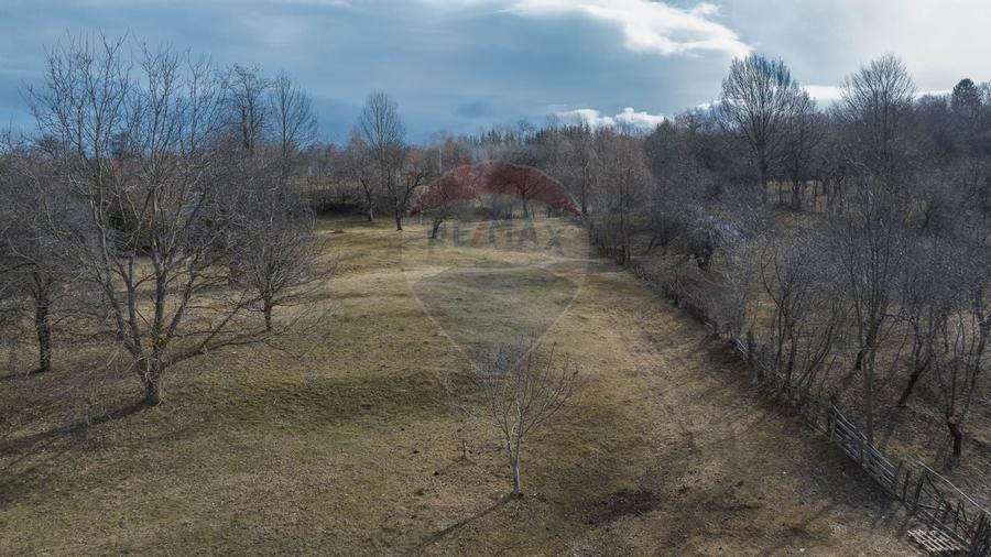 Teren 1,614mp Sohodol / Strada Inv. Ioan Puscariu - 3