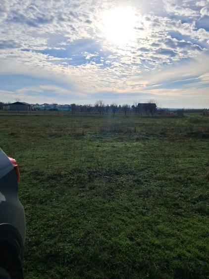 teren Nojorid cartier nou - 4