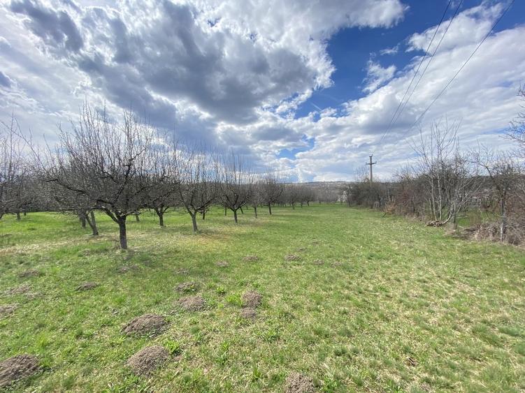 Berevoesti, Arges - 15