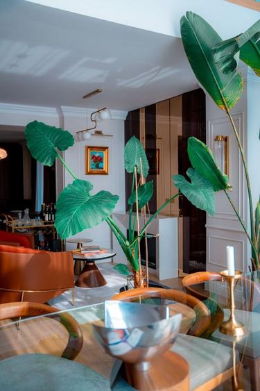 Penthouse Premium zona Floreasca - 12