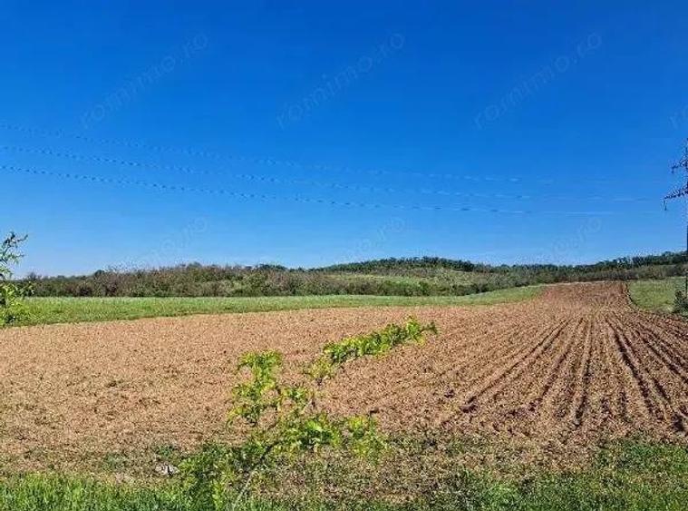 Cota de 1/2 din teren extravilan, comuna Rogova, Jud Mehedinti CP2549956 - 3