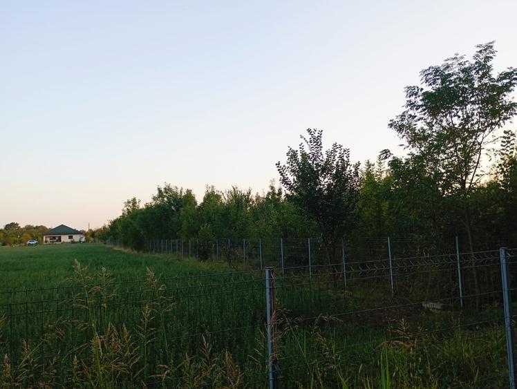 Teren intravilan 4800 mp lângă pădure în Scroviștea - 3
