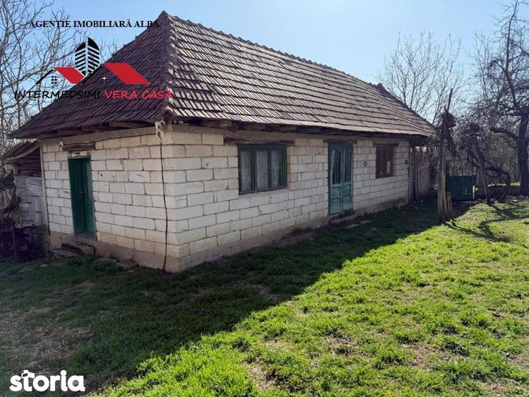 Casa si anexe cu un teren de 7701 mp de vanzare in Stauini Jud Alba - 6
