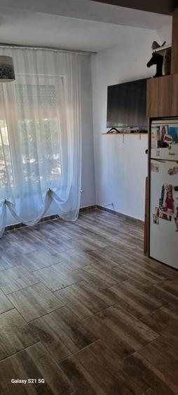 Vand casa in localitatea Micula - 8