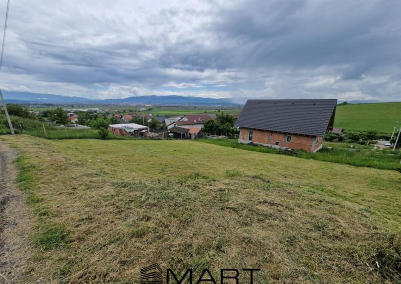 Teren intravila Sura Mare 1000mp - 2