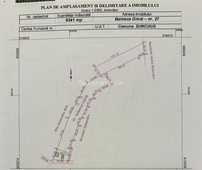 TEREN | 9341 MP | BALNACA GROSI | BIHOR