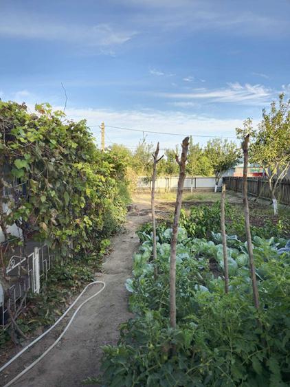 Casa de vanzare in Chilia Veche, Tulcea - 7