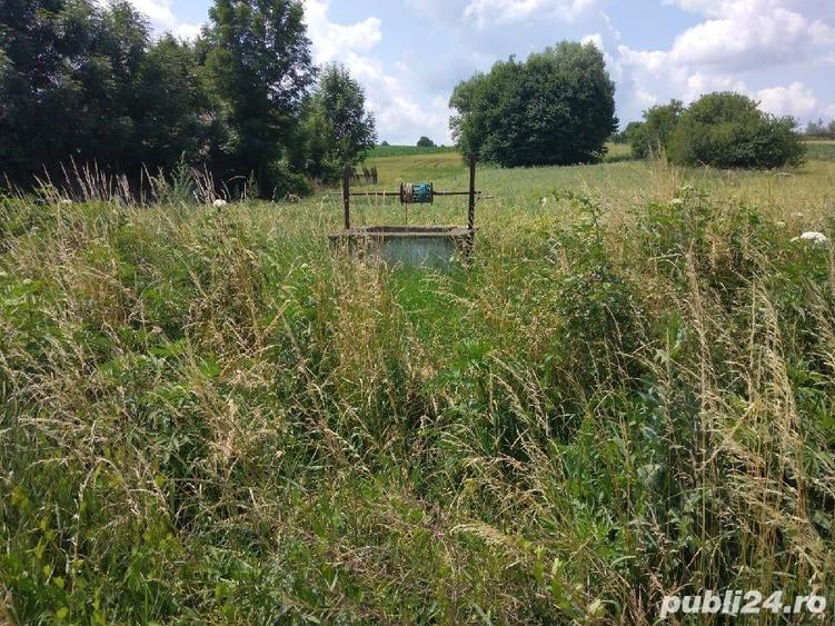 Teren de 3600 mp, în Grămești