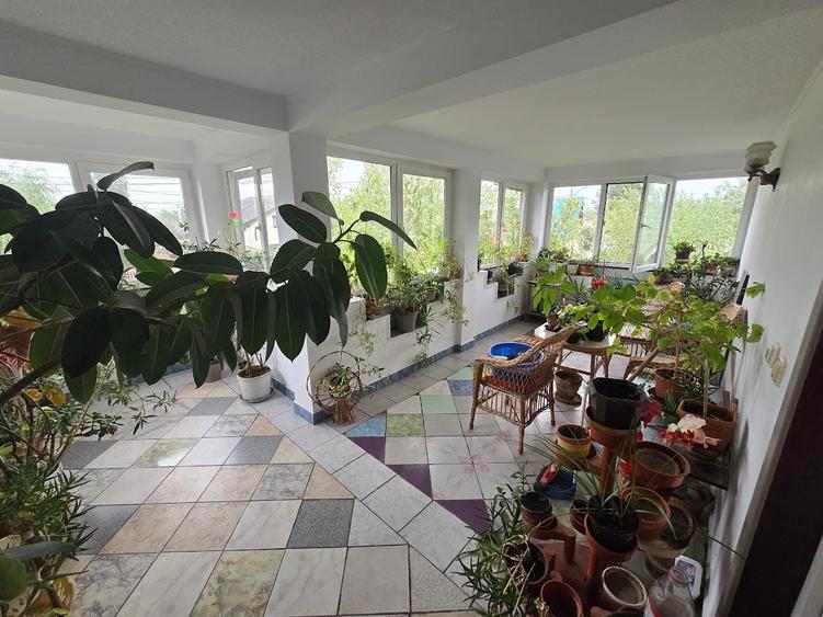 Magurele/Darasti-Ilfov/Vila individula cu crama,garaj,foisor,livada si solar - 16