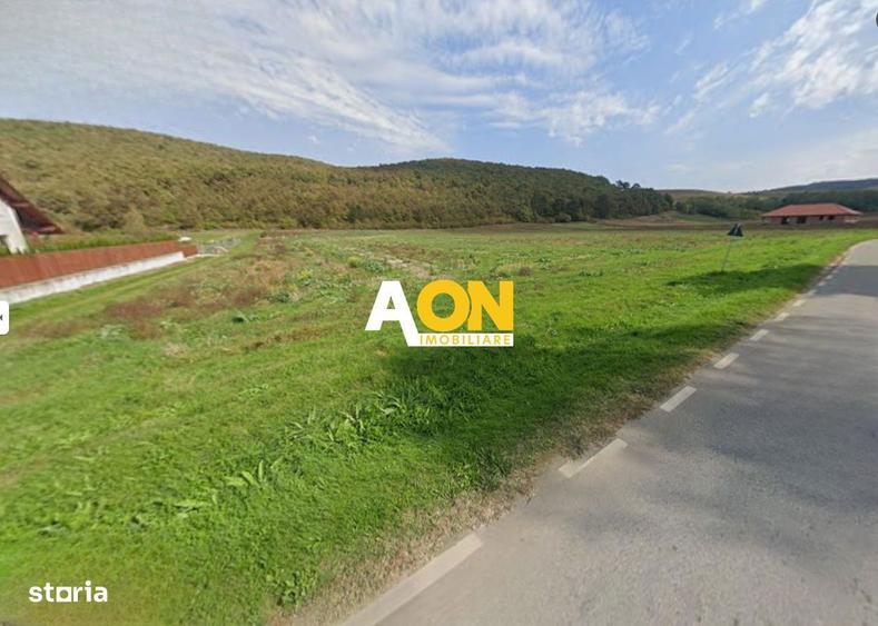 Teren intravilan, 2800 mp, la asfalt,cu utilitati, Hapria, com. Ciugud - 1