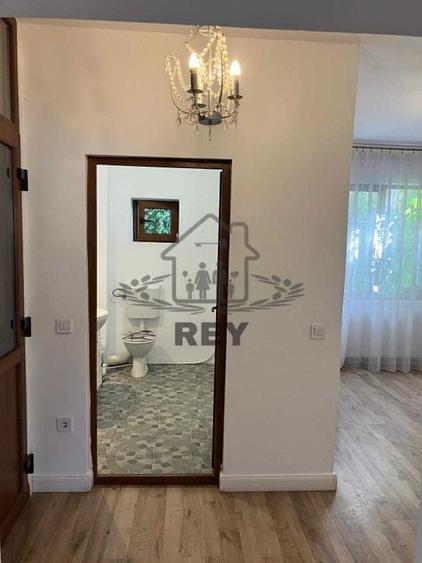 Spațiu birou/locuință– Bd. Victoriei- Parcul Sub Arini - 5