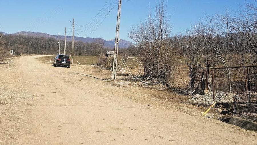 Teren de vanzare, Bale?ti, sat Rasova, Gorj - 4