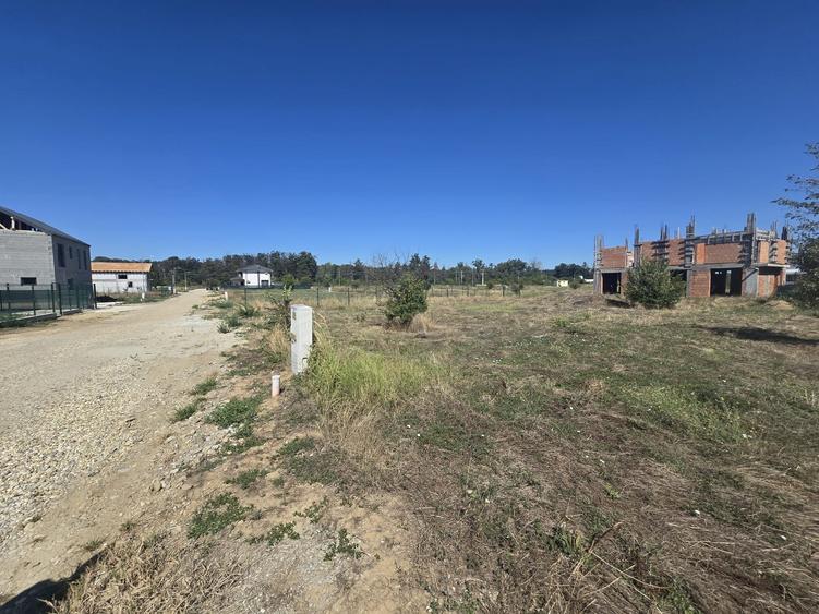 Gulia, Tartasesti, Eden Forest Residence,Samurcasi - 5