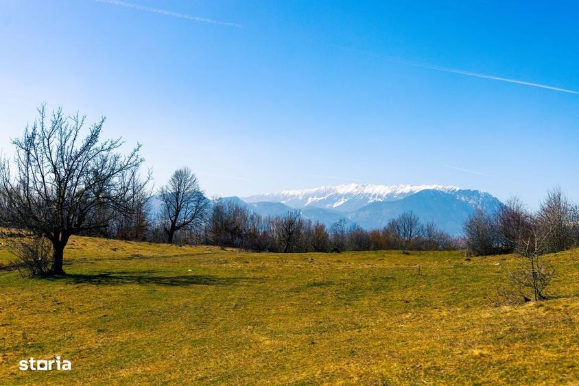 Teren 6 Hectare cu PUZ pentru Resort Turistic panorma Muntii Piatra Cr - 4