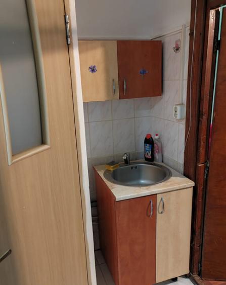 Camera de camin - 21 mp - Valea Rosie - 2