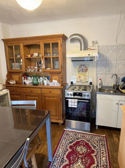 Casa la ?ara de vanzare - 4