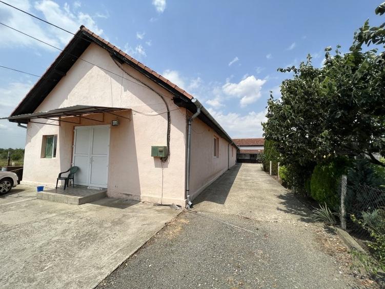 2 case, hala depozitare, teren 3785 mp - 2 F.S. - 22 m, pe malul Begai - 5