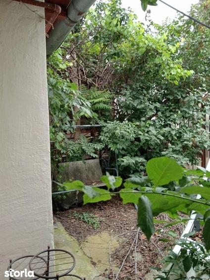 SUPER OCAZIE SE VINDE TEREN CU O CASA DEMOLABILA IN ZONA MIHALACHE - 6