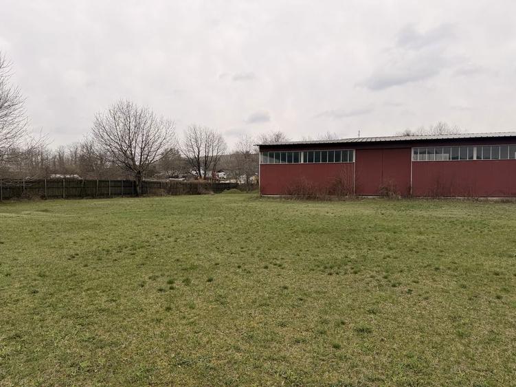 inchiriere spatiu - 3