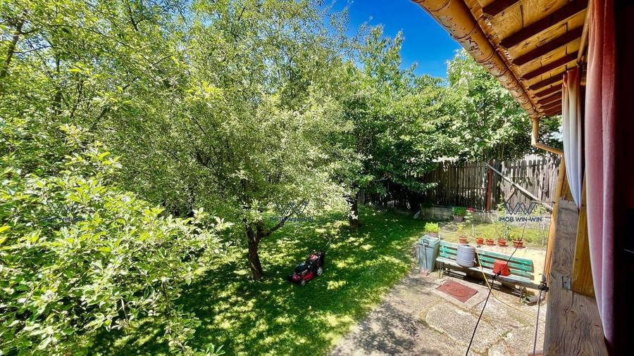 Proprietate Exceptionala cu Potential Dublu in Valea Ursului, Arges - 6