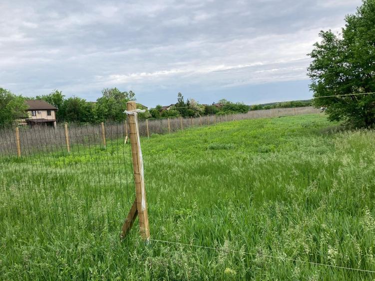 Teren cu Autorizatie, Utilitati, Asfalt, zona Paradisul Verde - 9