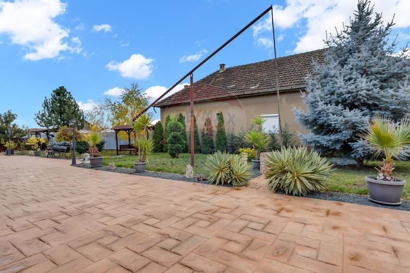 Casa noua pe colt si teren 1079 mp de vanzare in Macea,Arad - 39