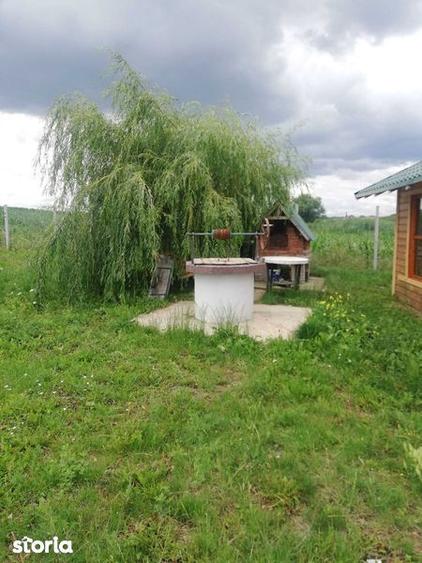 Vand TEREN CU LIVADA 23,5 ARI, Scheia, Trei Movile - 2