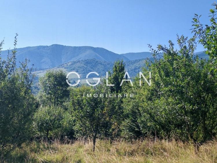 Terenul pe care se cladeste visul tau - Tocile, Sibiu - 5