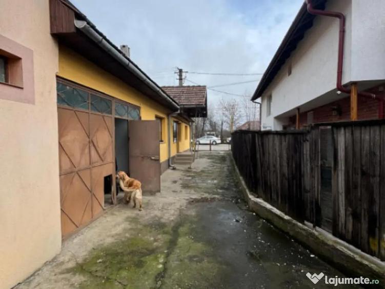 Casa 250 mp in Tau?ii Magherau?, 6 camere, garaj dubl - 1