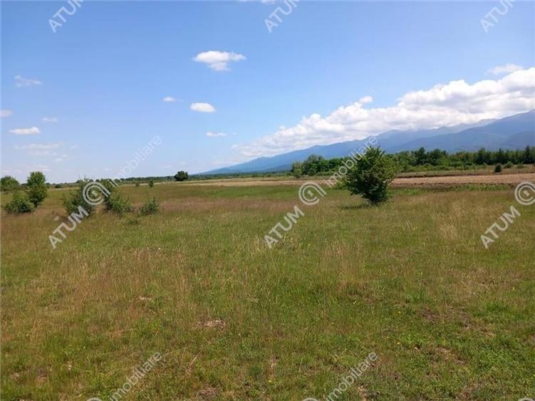 Teren intravilan 5000 mp pe Valea Avrigului, Sibiu - 9