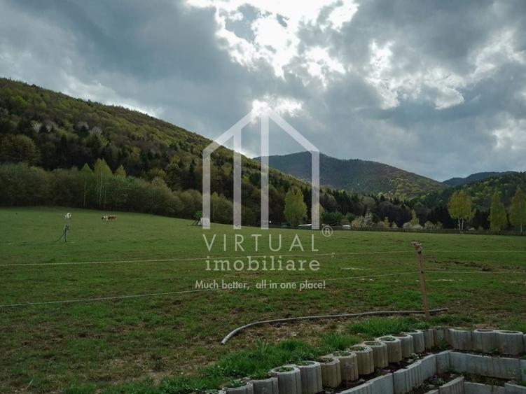 Teren intravilan de vanzare in Tocile, 3862 mp, priveliste spre padure - 7