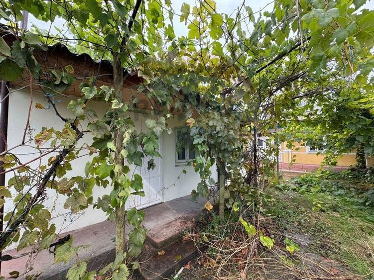 Casa / Vila cu 3 camere in Rachitosu - 11