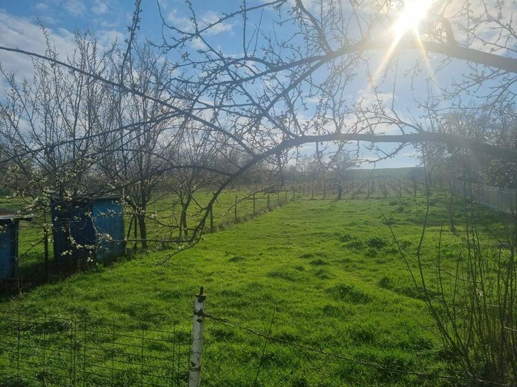 Teren vanzare - Rusenii noi - 4