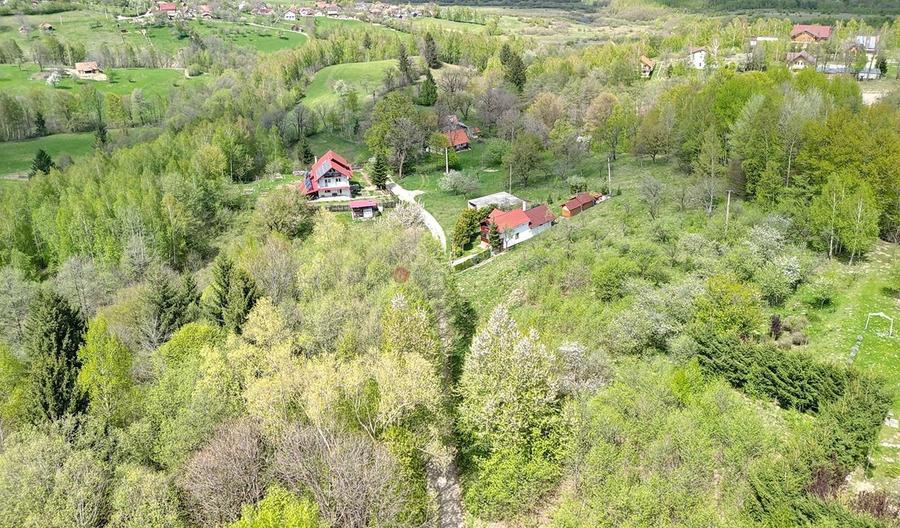 Teren intravilan Bran- Predelut - 21