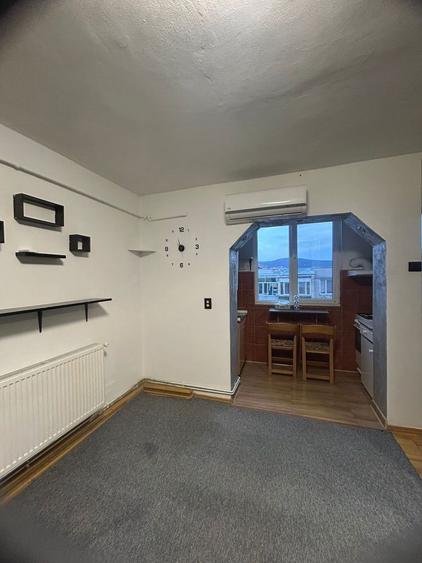 Vand garsoniera situata in Dumbrava Nord - 8