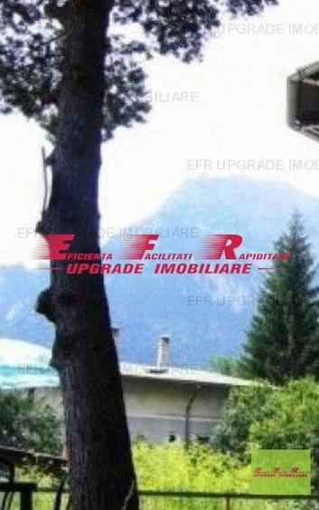 Teren centru (bulevard) Busteni - EFR Upgrade Imobiliare - Teren in centrul oras - 7