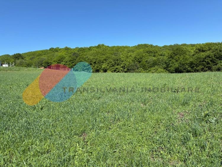 Teren Extravilan de 2.900 mp la Limita Intravilanului – Popești, Cluj - 1