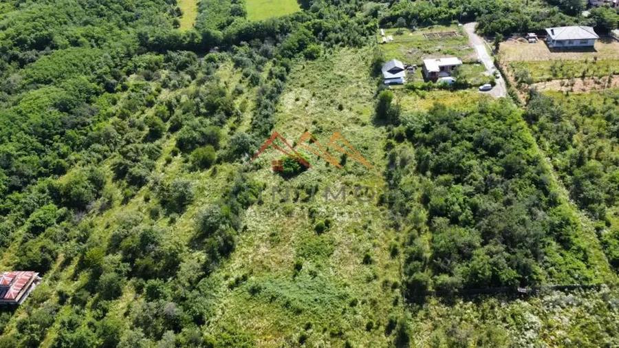 Teren intravilan 20280 mp, oportunitate investitie, Gageni, Prahova - 12