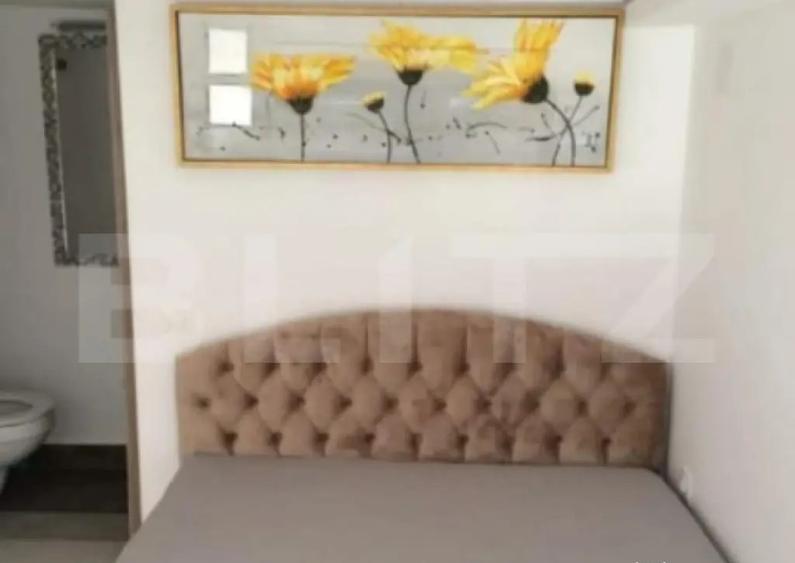 Apartament tip studio, 16,16 mp, strada piata Trandafirilor - 3