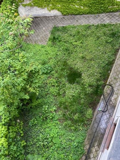 Casa in Cartierul Armenesc - curte individuala - 14