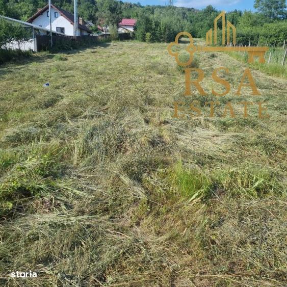 Teren intravilan 2652 mp Golesti Vatasesti, Valcea, zona linistita - 5