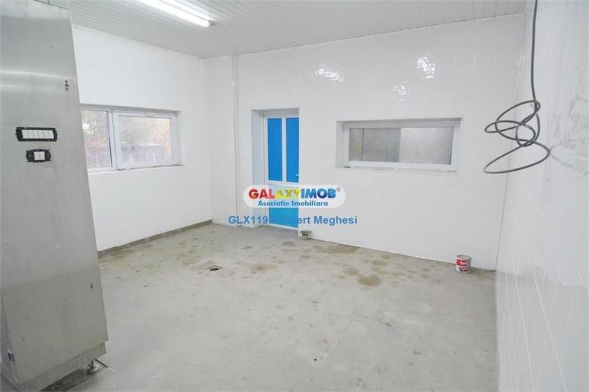 Inchiriere vanzare spatiu productie alimentara P-ta Delfinului - 4